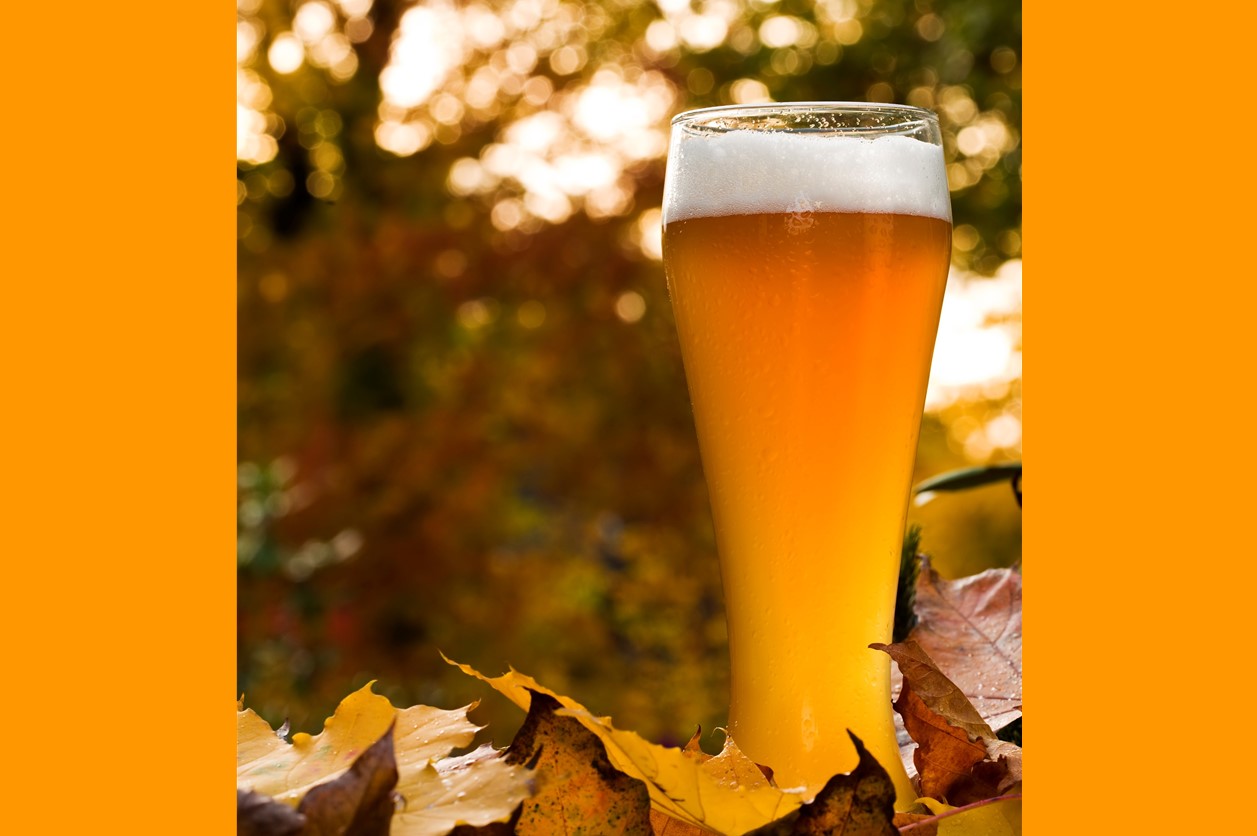 Wheat beer standing in autumn leaves