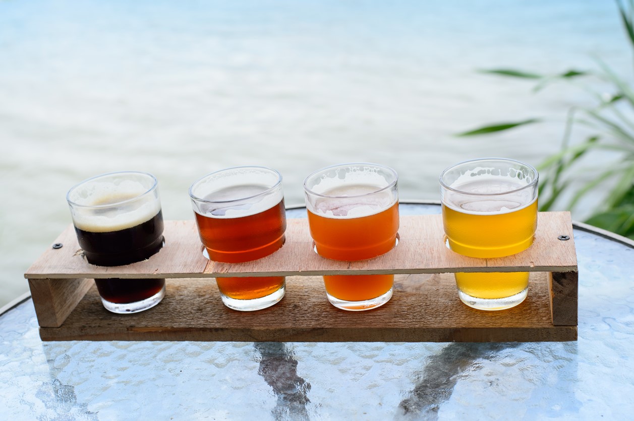 craft beer in different colours